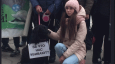 Депутатов горсовета перед сессией встречал пикет зоозащитников