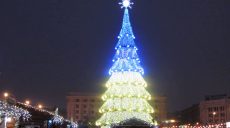 Тридцать шесть метров и двадцать сантиметров. Харьковская елка – официально самая высокая в Украине