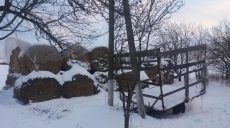 На Харьковщине мать бросила двухмесячную дочь умирать на морозе: новые подробности