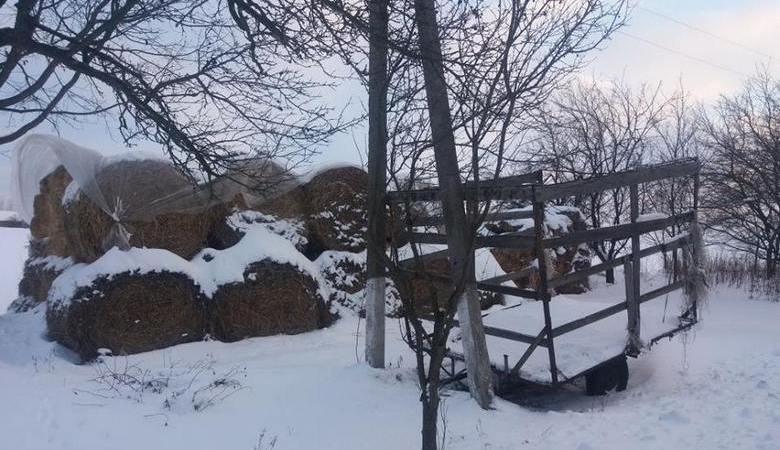 На Харьковщине мать бросила двухмесячную дочь умирать на морозе: новые подробности