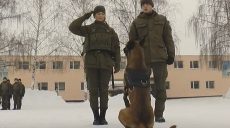 На стажировке в 5-й Слобожанской бригаде девушки-курсанты учатся быть настоящими командирами
