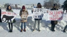 Зоозащитники Харькова провели акцию «Цирк без животных»