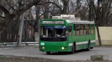 На Новых Домах три троллейбуса временно изменят маршруты