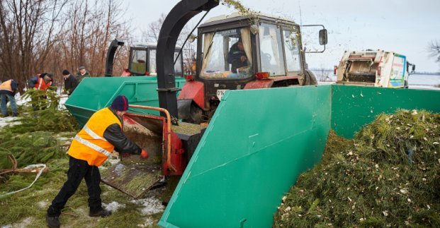 В Харькове продолжается утилизация новогодних елок