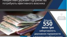 В Украине «размораживают» большую приватизацию