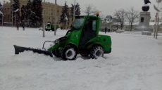 Городские власти пытаются справиться с последствиями снегопада