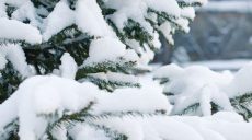 26 января в Харькове будет холодно