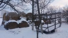 Женщина бросила двухмесячного младенца в стоге сена на морозе