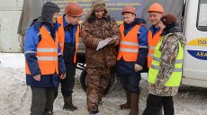 «Жилкомсервис» обязали опубликовать финотчетность на своем сайте или на сайте горсовета