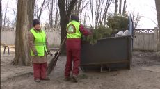 Топливо либо корм для животных. Как в Харькове утилизируют новогодние елки