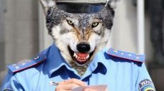 Бизнесу предложат в прямом эфире разоблачать негодяев в погонах — Владимир Гройсман