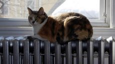 На Харьковщине отопительный сезон проходит стабильно – вице-губернатор