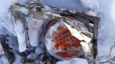 Продолжаются поисково-спасательные работы на месте крушения самолета в Подмосковье