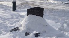 Активисты держат в секрете место, где они собираются установить памятник Сирко