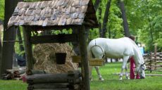 В Андреевке снова зафиксирована вспышка гепатита