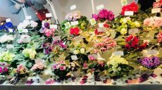 Более тысячи сортов фиалок собрала выставка в Харькове (ВИДЕО)