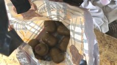 Полиция отпустила большинство задержанных во время сноса палаточного городка под Верховной Радой
