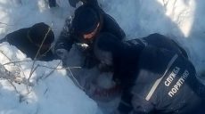 Под Харьковом спасатели достали из-под снежного завала 12-летнюю девочку (ФОТО, ВИДЕО)