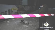 Полиция ищет злоумышленников, расстрелявших из автомата граждан возле ресторана (Официально, Фото)