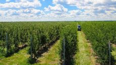 Развитие фермерства в Харьковской области: реалии и перспективы