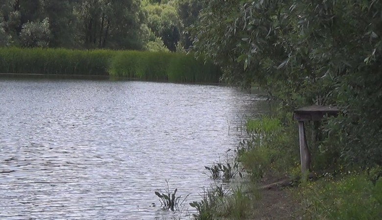 На Харьковщине запрещен промышленный и спортивный лов рыбы
