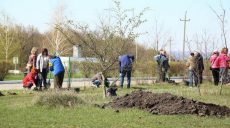 В Харькове и области прошел масштабный весенний субботник (ВИДЕО)