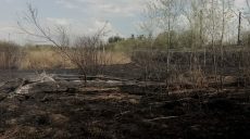 В Чугуеве огонь с сухостоя перекинулся на жилой дом