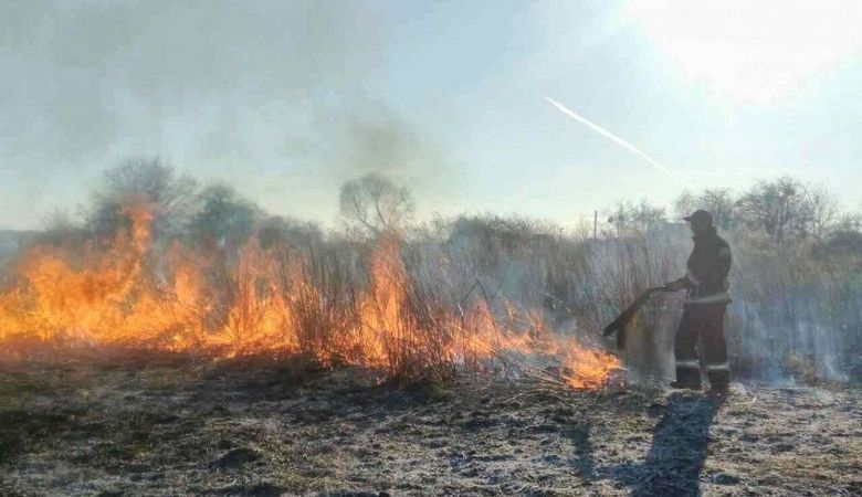 На Харьковщине выгорело 16 гектаров территории
