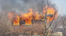 За сутки на Харьковщине выгорело 12 га сухостоя (Фото)