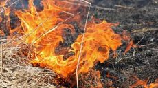 Полевой пожар на Харьковщине угрожал АЗС
