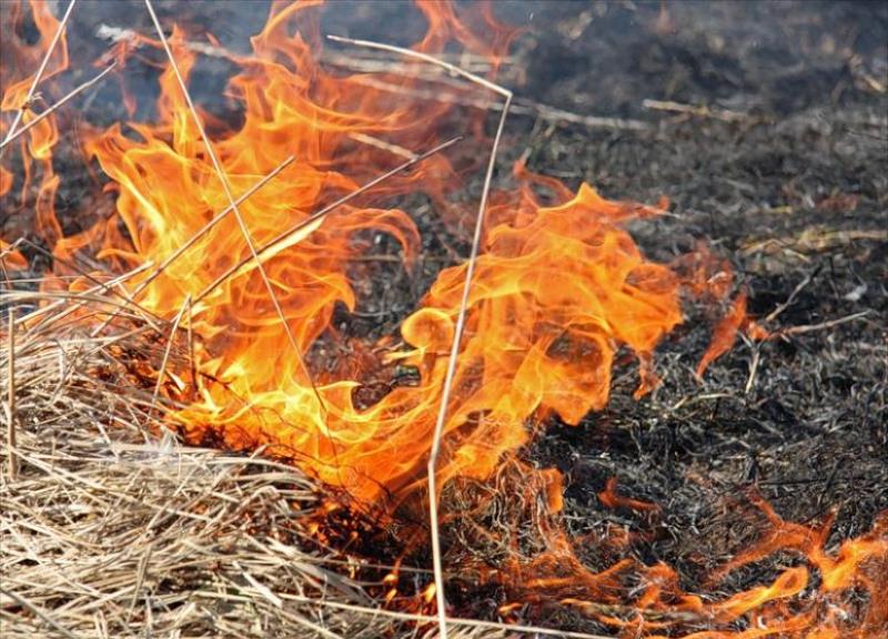 Полевой пожар на Харьковщине угрожал АЗС