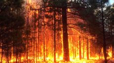 Харьковщина готовится к предупреждению лесных пожаров