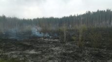 На Харьковщине потушен пожар в лесничестве