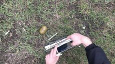 На Ландау гражданин гулял с гранатой
