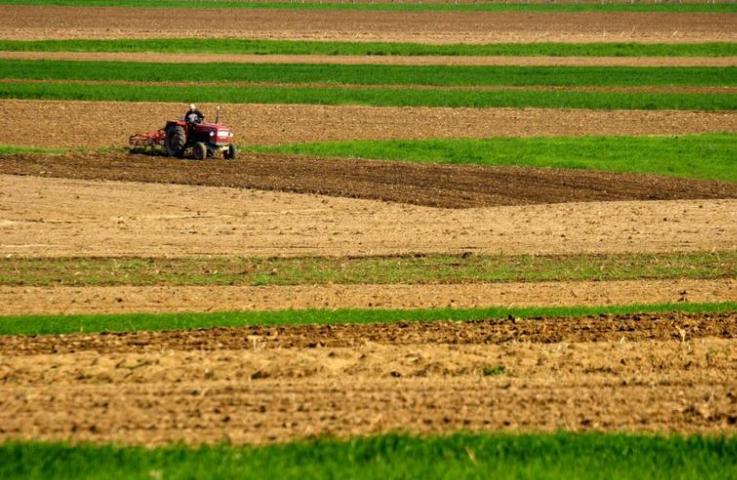 Фермер на Харьковщине может потерять 336 га земли