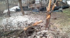 Ситуация в зоне АТО: ранено 3 украинских воинов