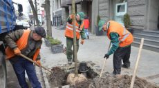 В Харькове проводят весеннюю высадку деревьев