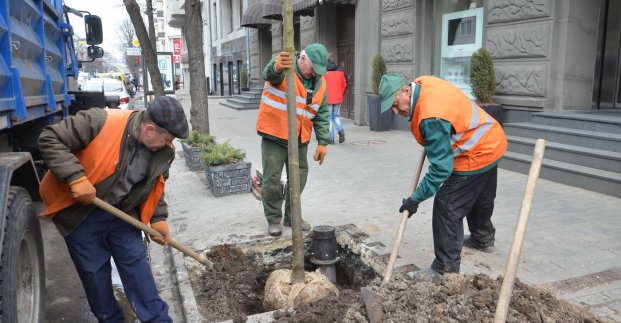 В Харькове проводят весеннюю высадку деревьев