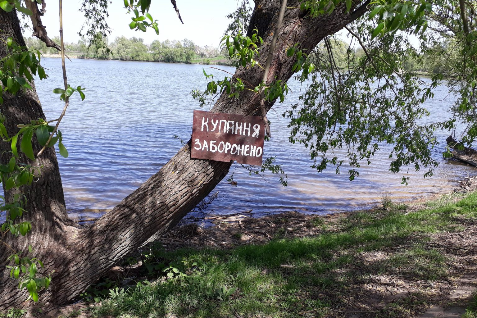 В Золочевском районе утонул мужчина