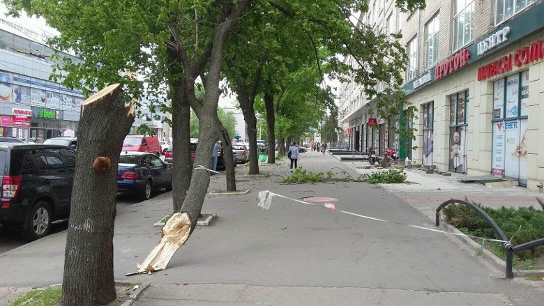 На Богдана Хмельницкого упало дерево (ФОТО)