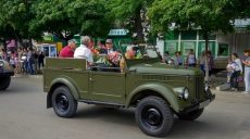 День Победы над нацизмом отпраздновали в Волчанском районе (видео)