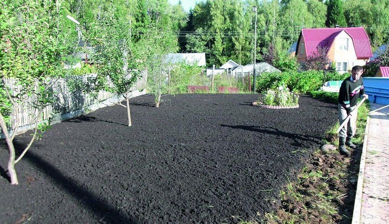 Огородники и специалисты поделились секретами богатого урожая (видео)