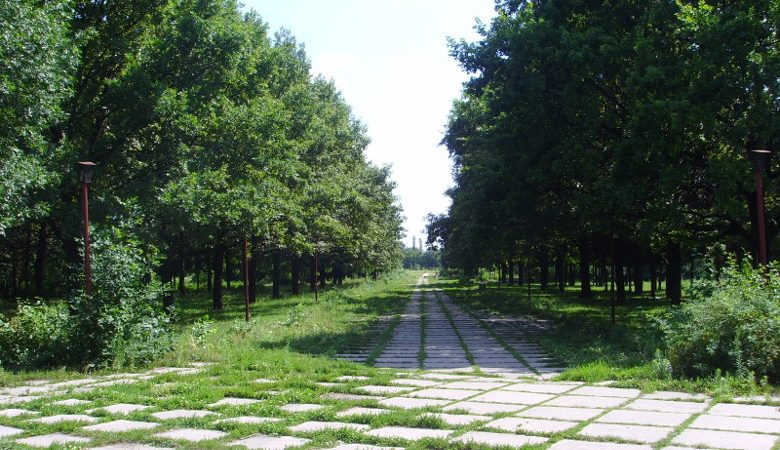Ð154;аÑ128;Ñ130;инки по запÑ128;оÑ129;Ñ131; Ñ133;аÑ128;Ñ140;ков землÑ142; в паÑ128;ке зÑ131;Ñ129;Ñ130;Ñ128;Ñ150;Ñ135;