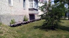 Из окна на пятом этаже выпал восьмилетний мальчик