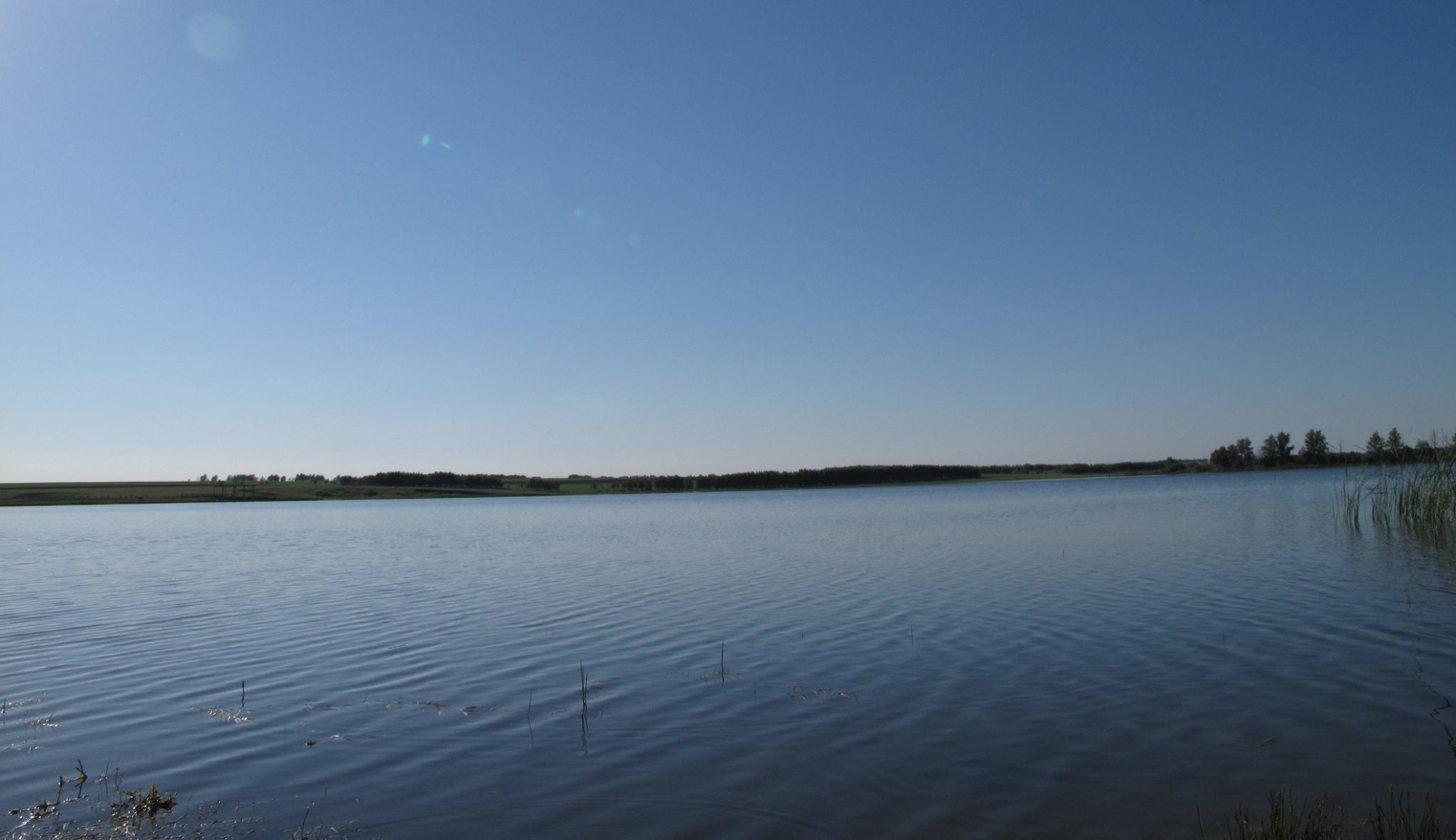 На Печенежском водохранилище — весеннее зарыбление. В водоем выпустят более полумиллиона мальков (видео)