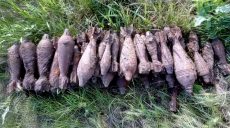 За сутки был обезврежен огромный арсенал боеприпасов