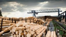 Налоговики разоблачили уклонение от уплаты налогов в крупных размерах
