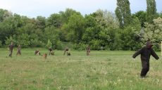 К харьковским нацгвардейцам-кинологам поступило пополнение (фото)