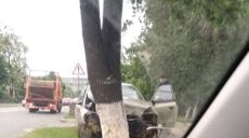 На Чкалова Daewoo Nubira врезался в дерево (Фото)