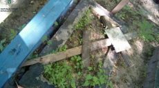 Задержаны вандалы, громившие могилы на Челюскинском кладбище